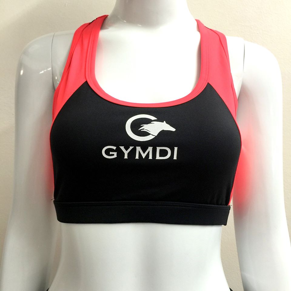 Quần áo thời trang tập các loại áo quần thể thao tập gym, aerobic, yoga, zumba giá rẻ tại Hà Nội